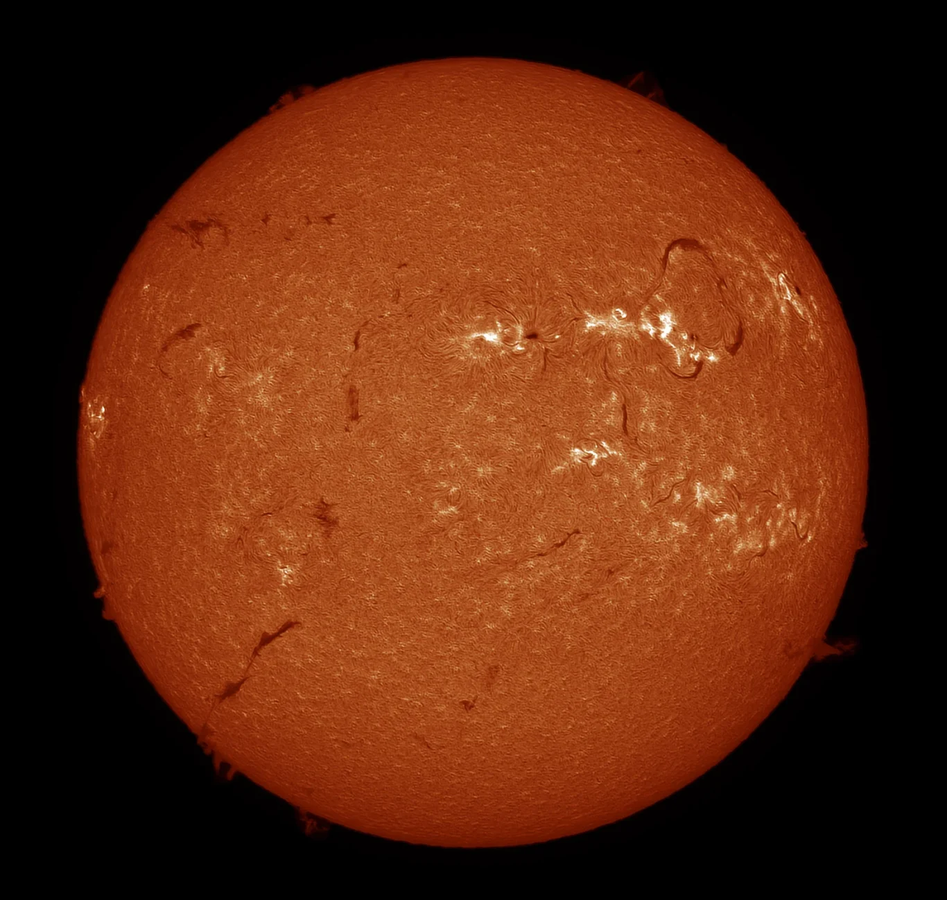 Acuter Elite Phoenix 40 ja IMX585 (Uranus-M)